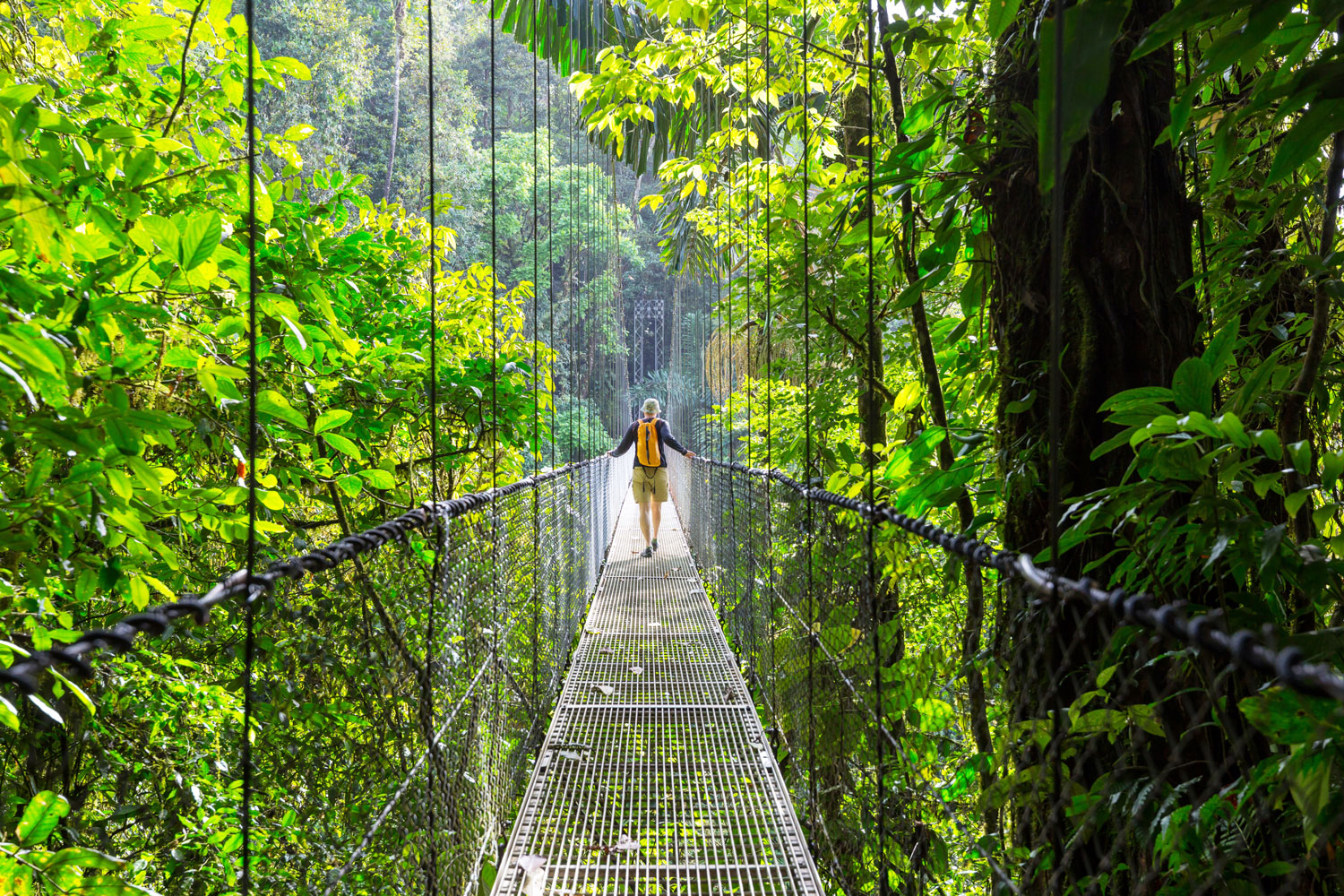 Hanging bridges in costa rica