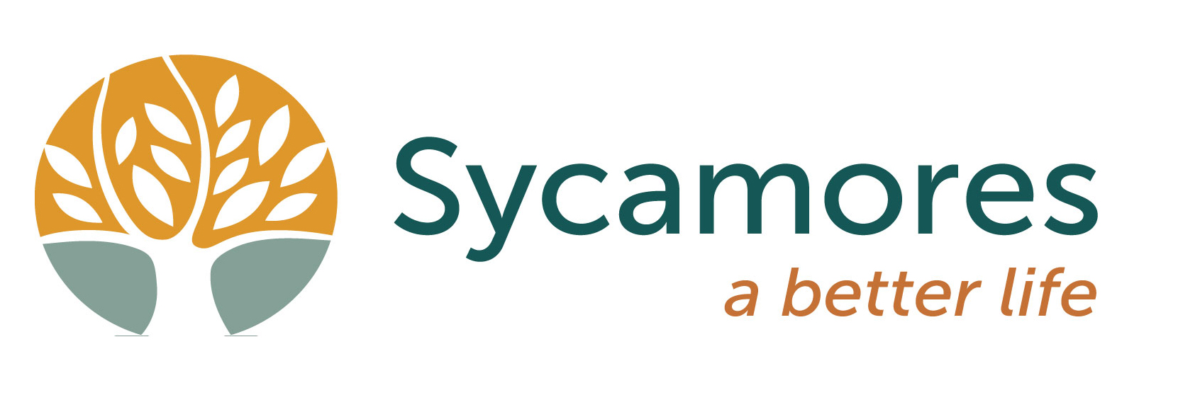 Sycamores