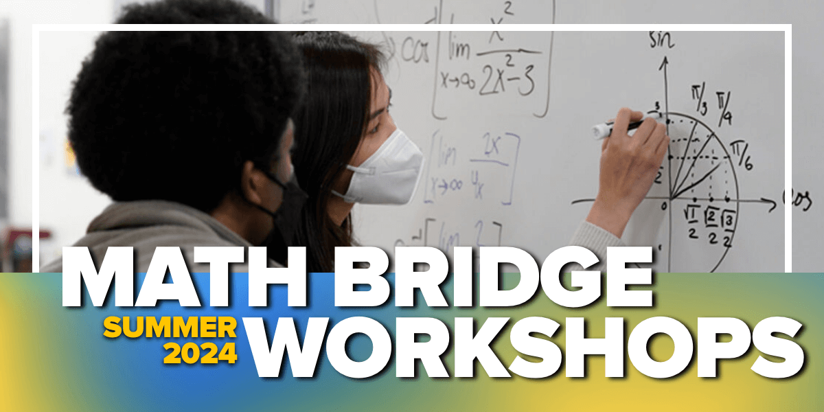 Summer and Winter Bridge Workshops